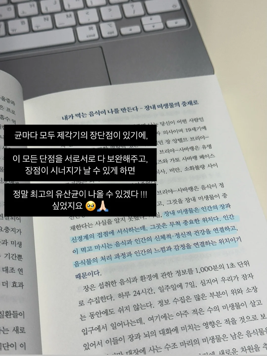 후리스세트 17