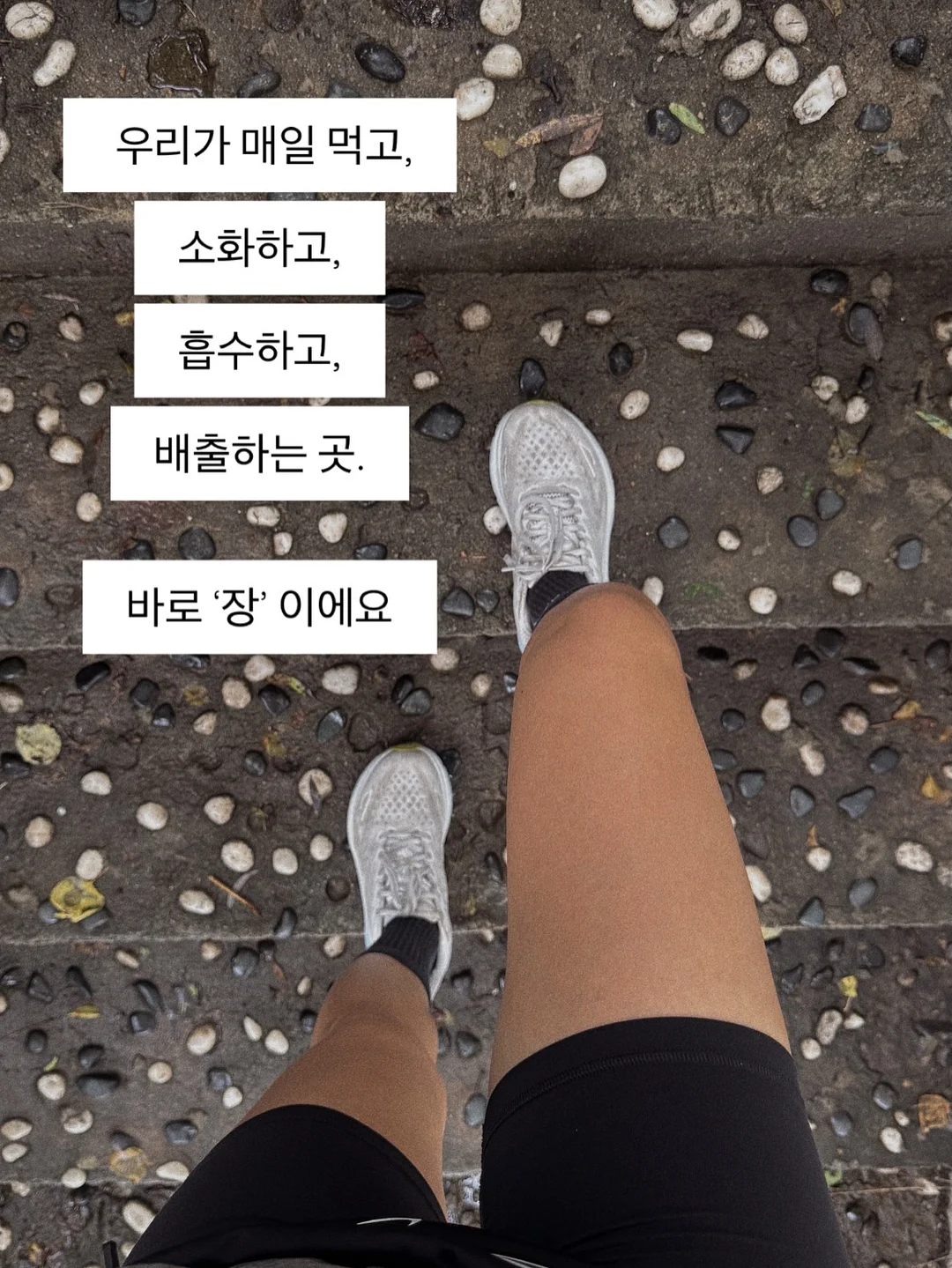 후리스세트 4