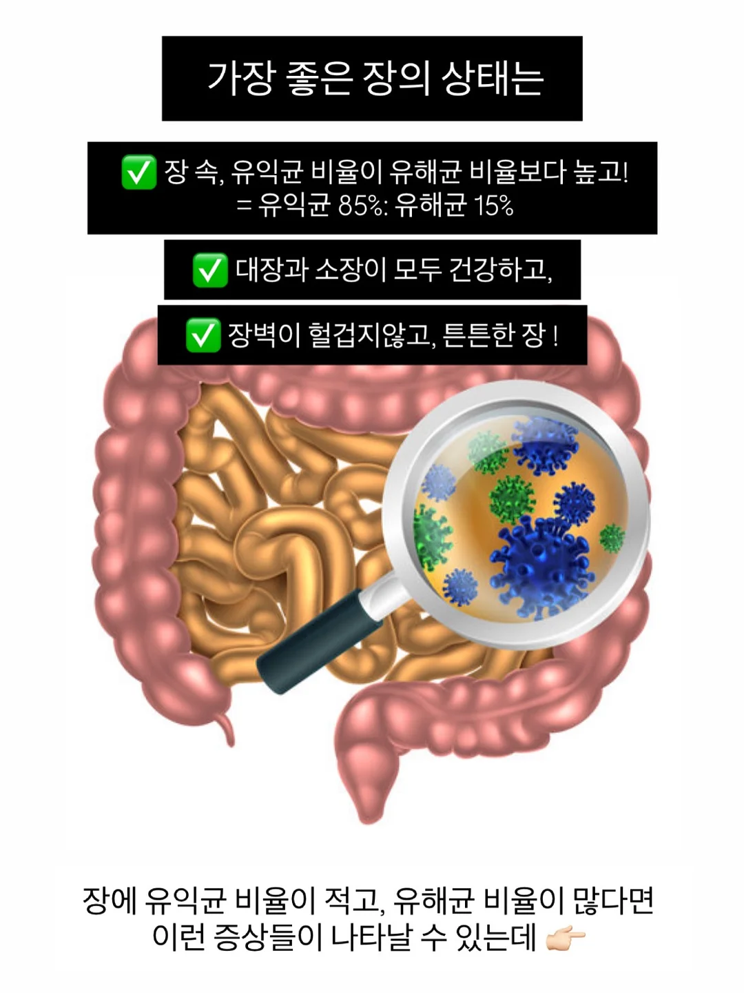 후리스세트 10
