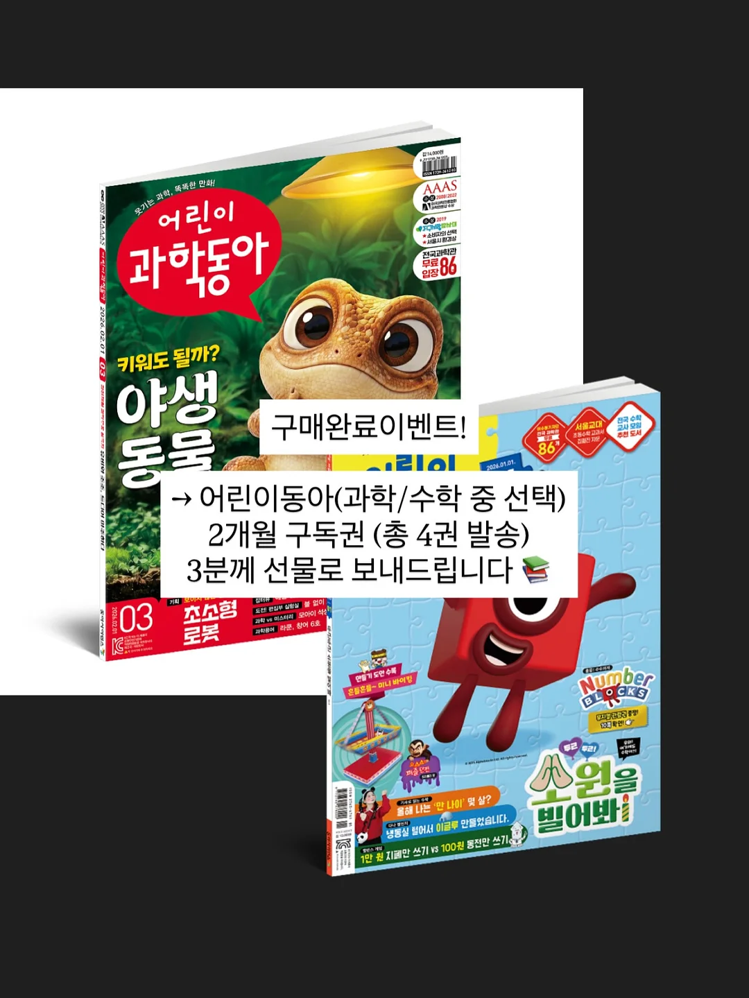 투주름 단추 슬랙스 4