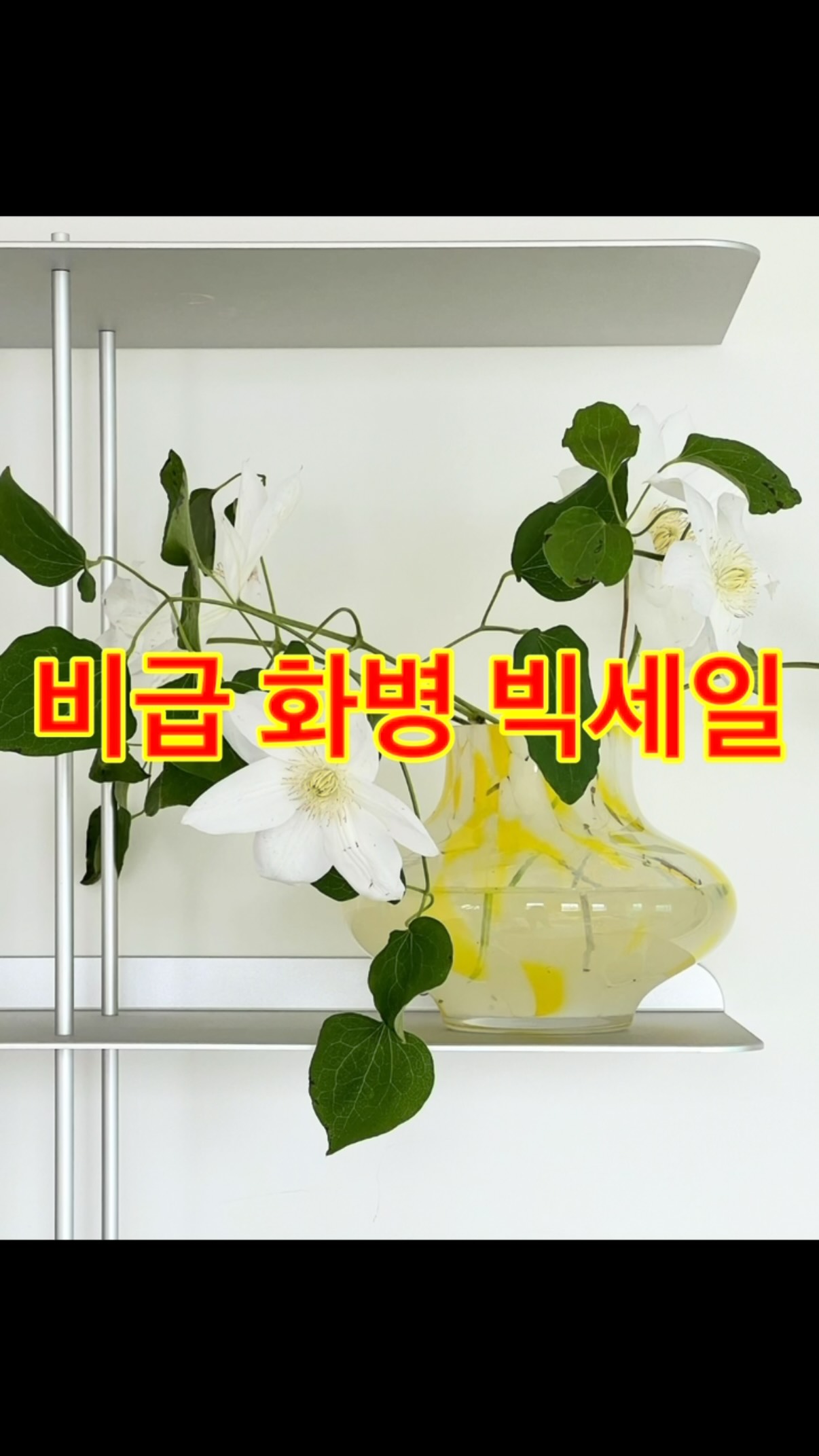 파지 진미채