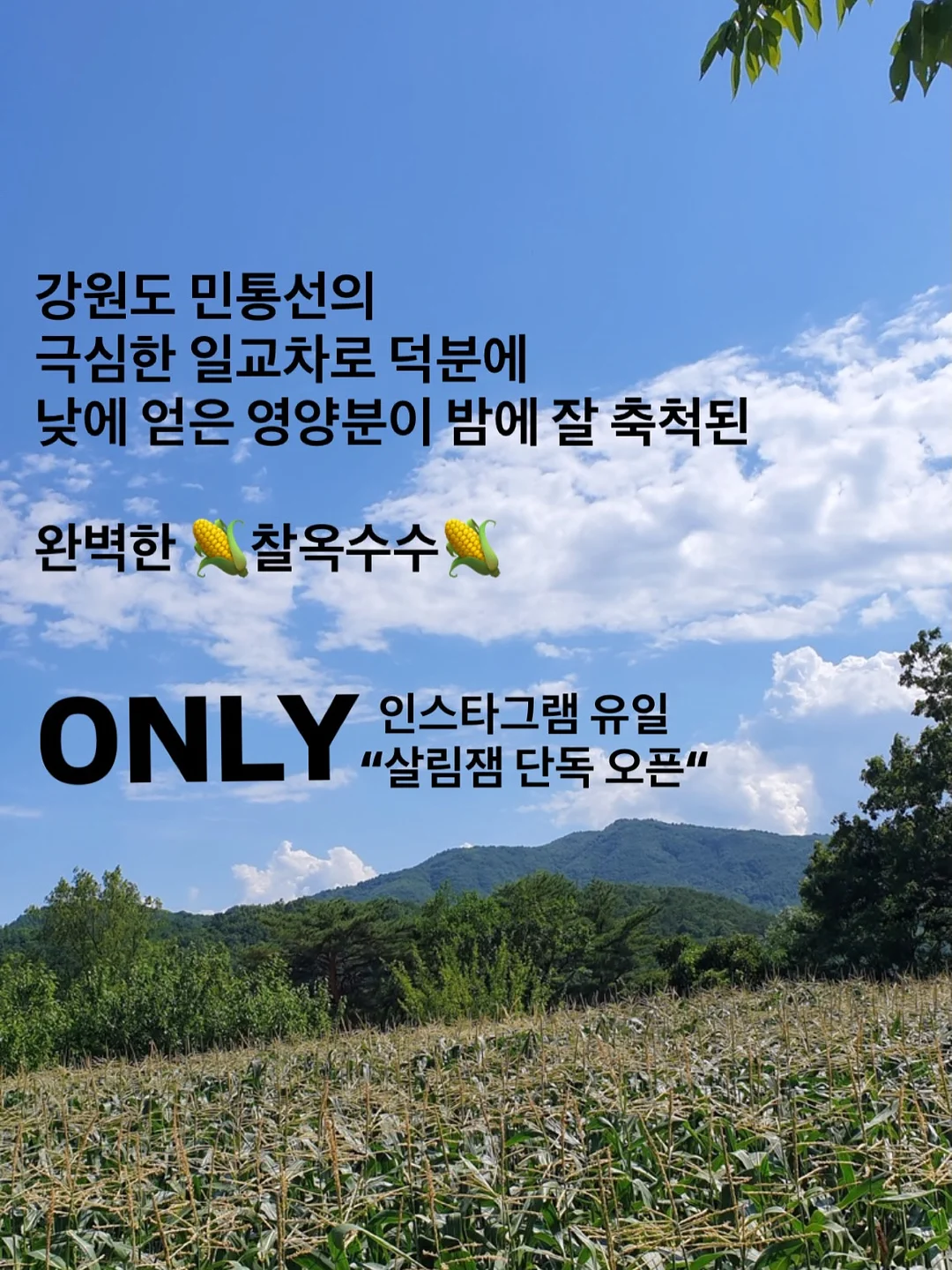 레이 핀턱 오버핏 자켓 셋업 1