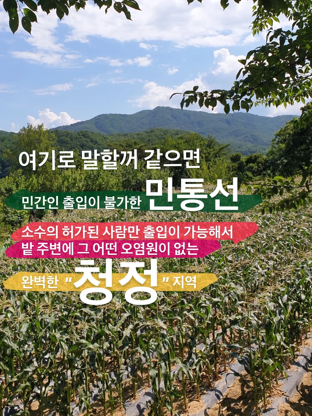레이 핀턱 오버핏 자켓 셋업 2