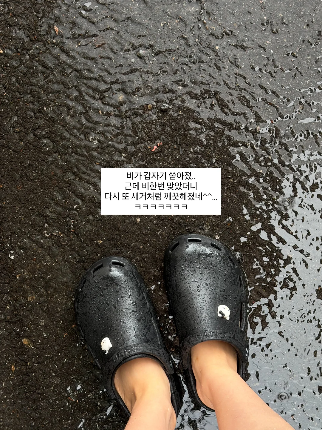 풀리 노세범 젤리 파우더 7