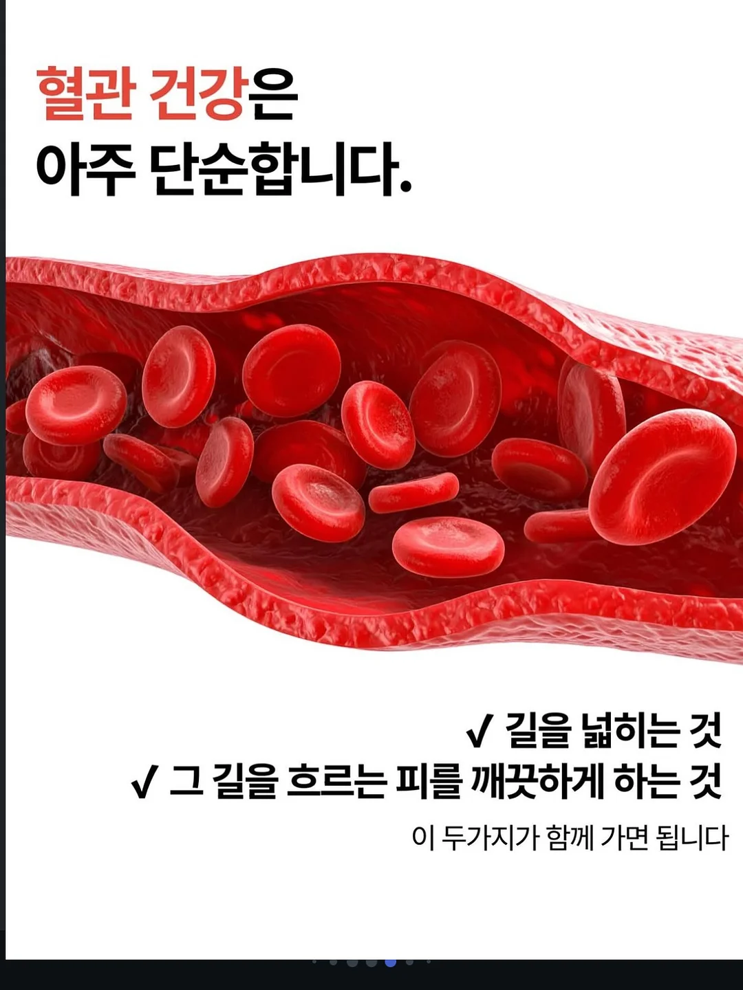 양고기 2