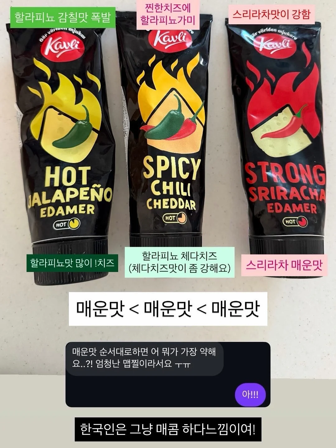 블렌더 5