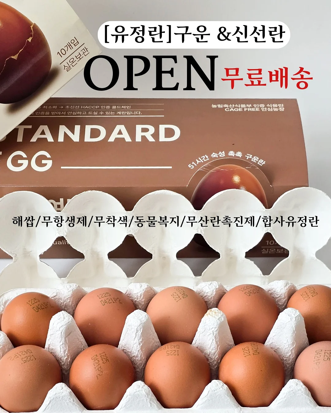 리딩반 6