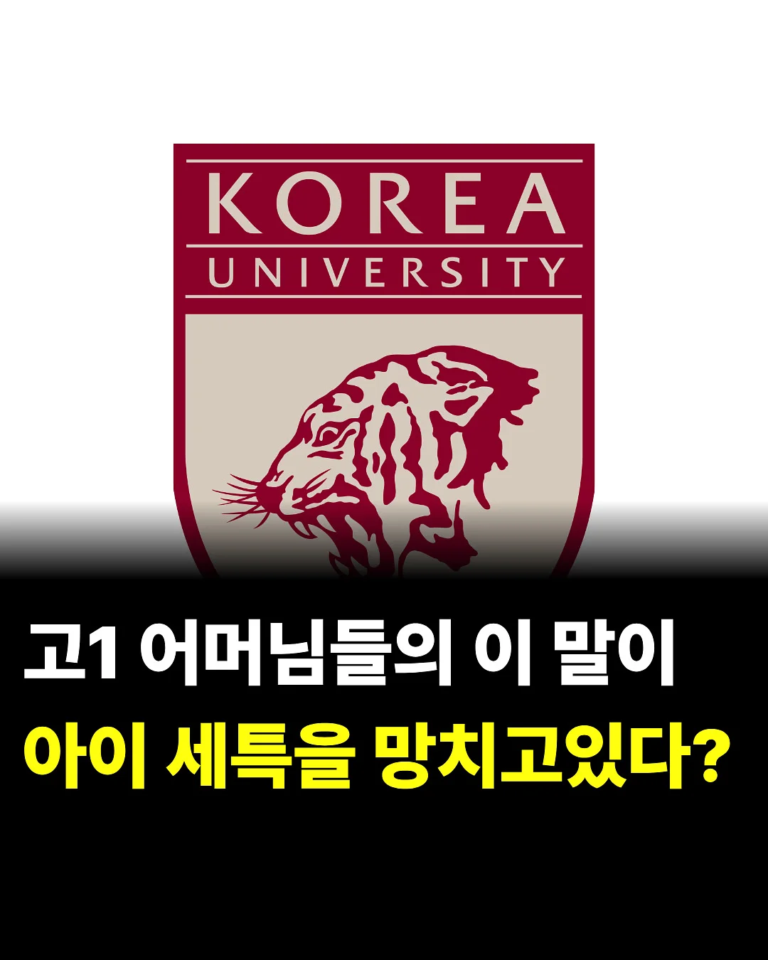 오색 수제소면