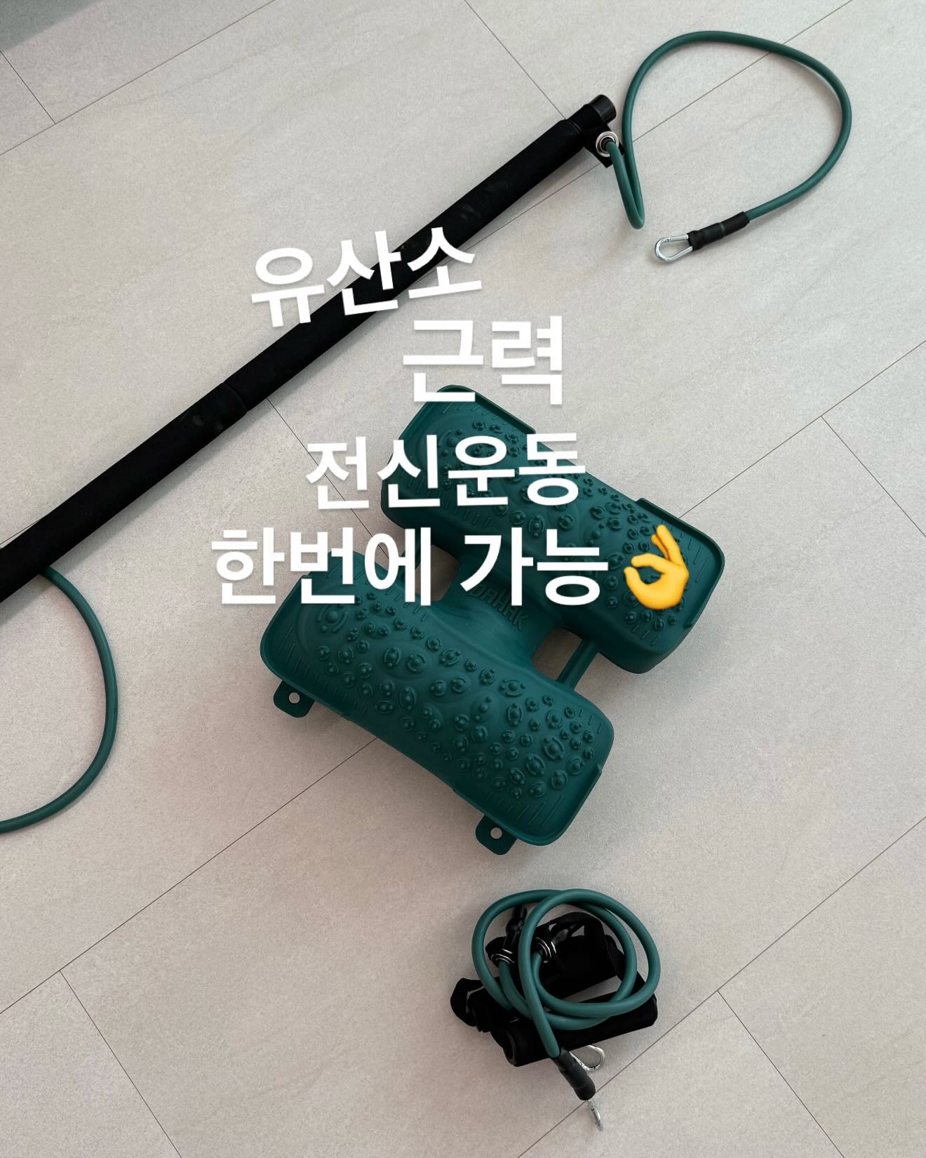 Herno 밍크에코퍼 5