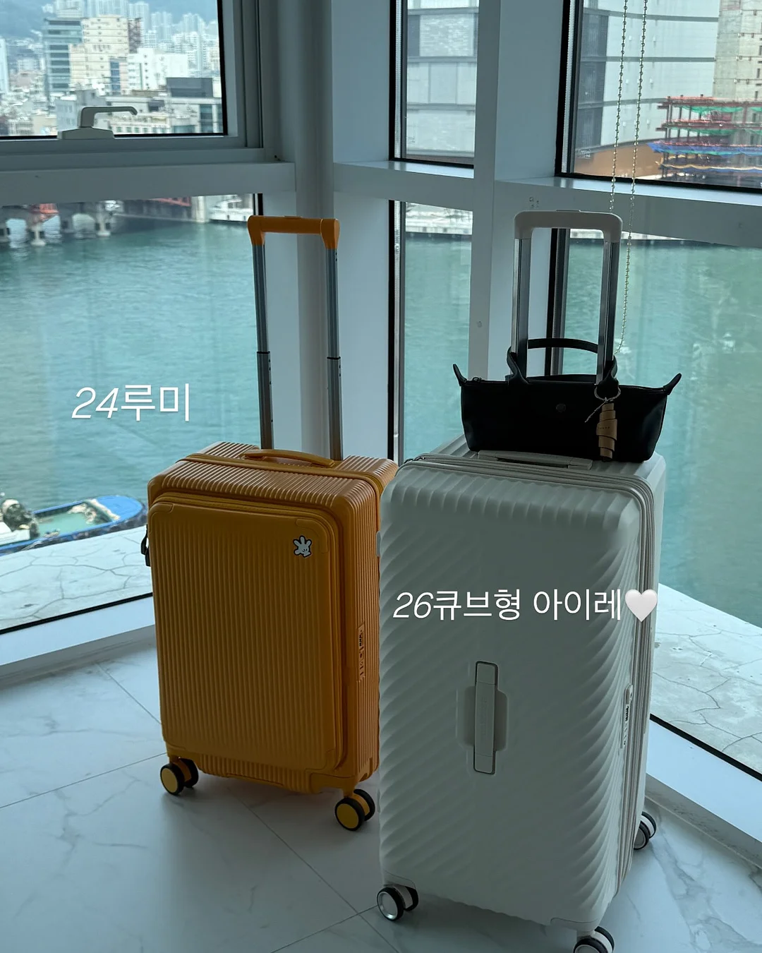 세계척학전집훔친심리학편 11