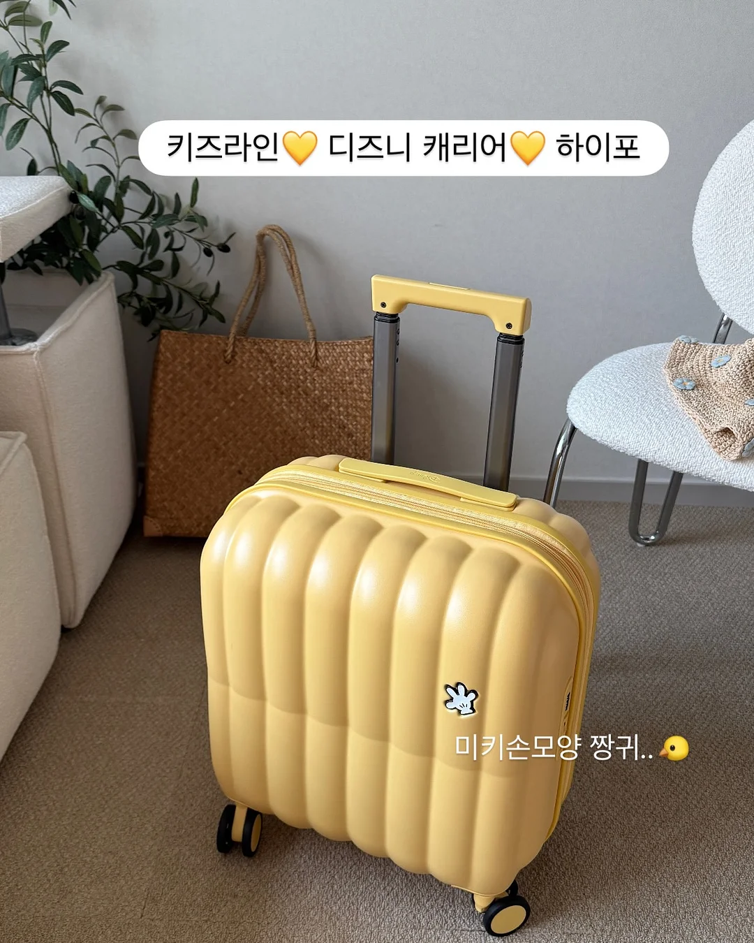 세계척학전집훔친심리학편 12