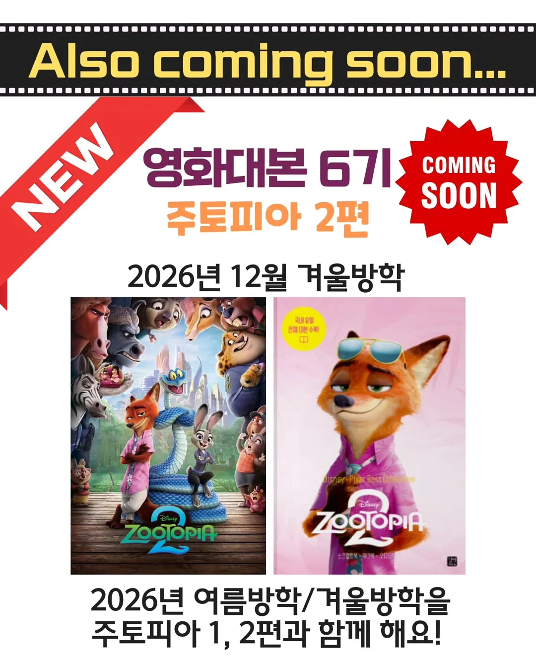 링컨디저트 두쫀쿠 60g 12