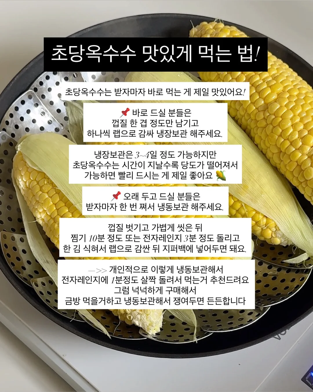 재생 3종 세트 11