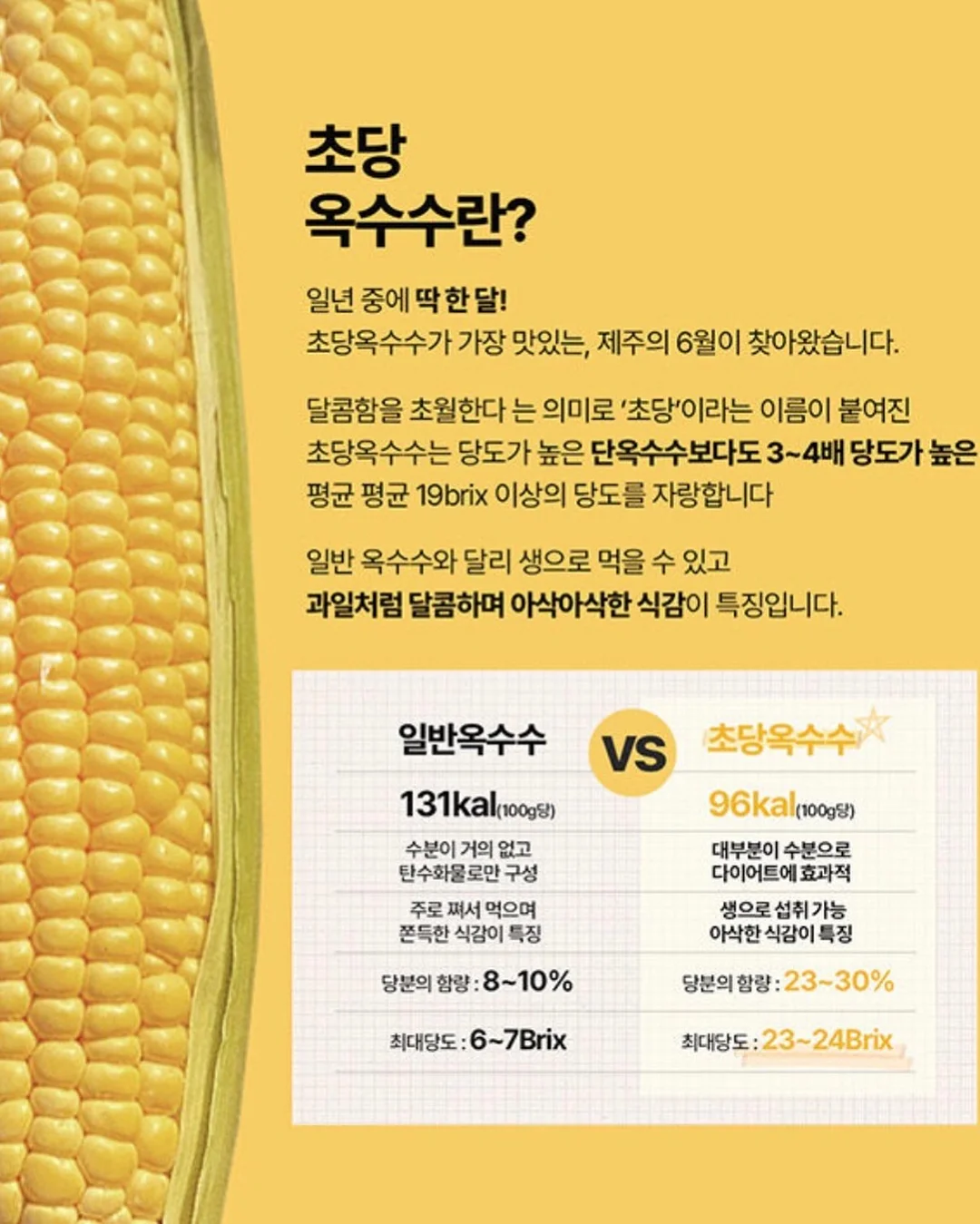 재생 3종 세트 13