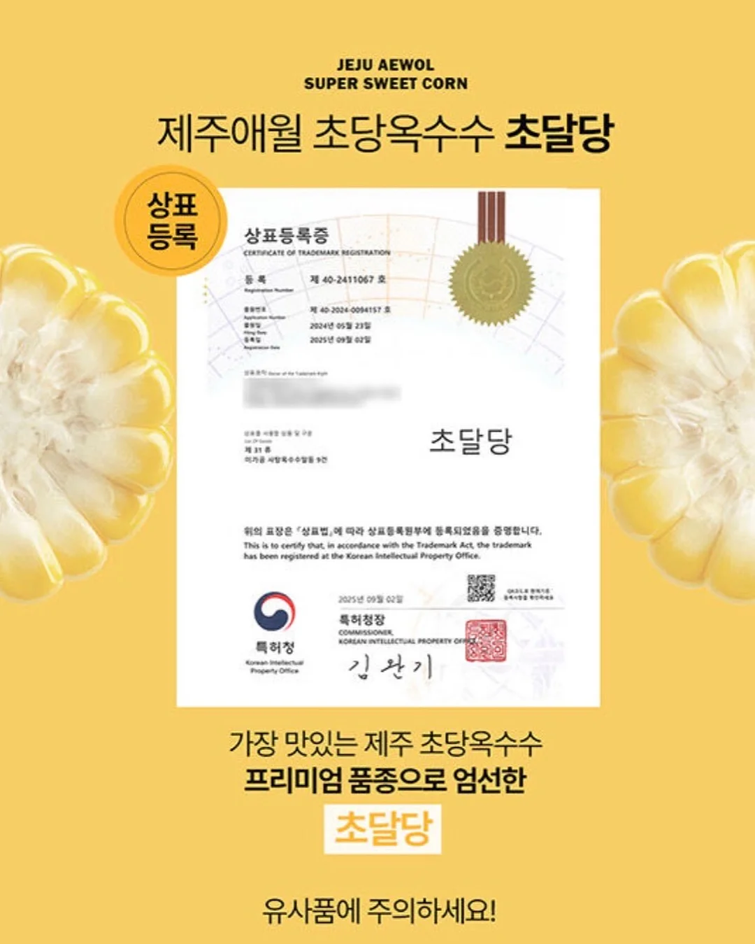 재생 3종 세트 14