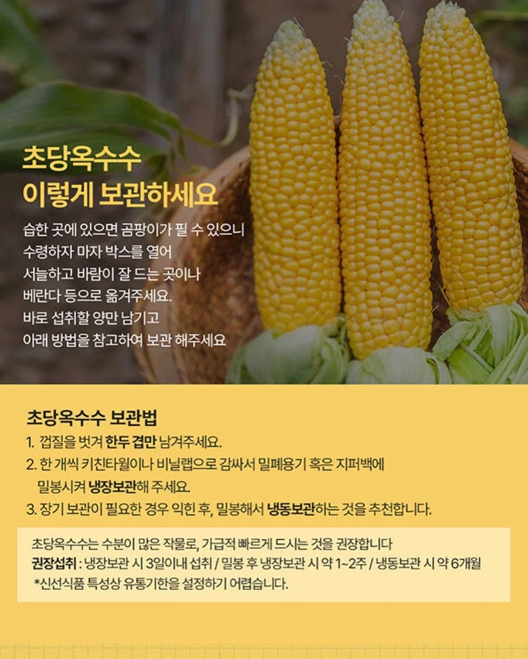 재생 3종 세트 15