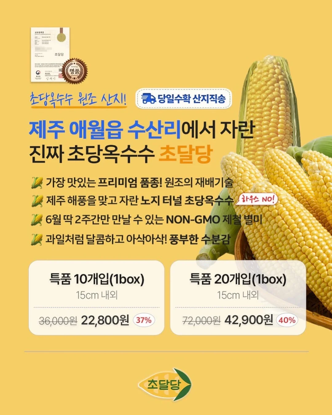 재생 3종 세트 17