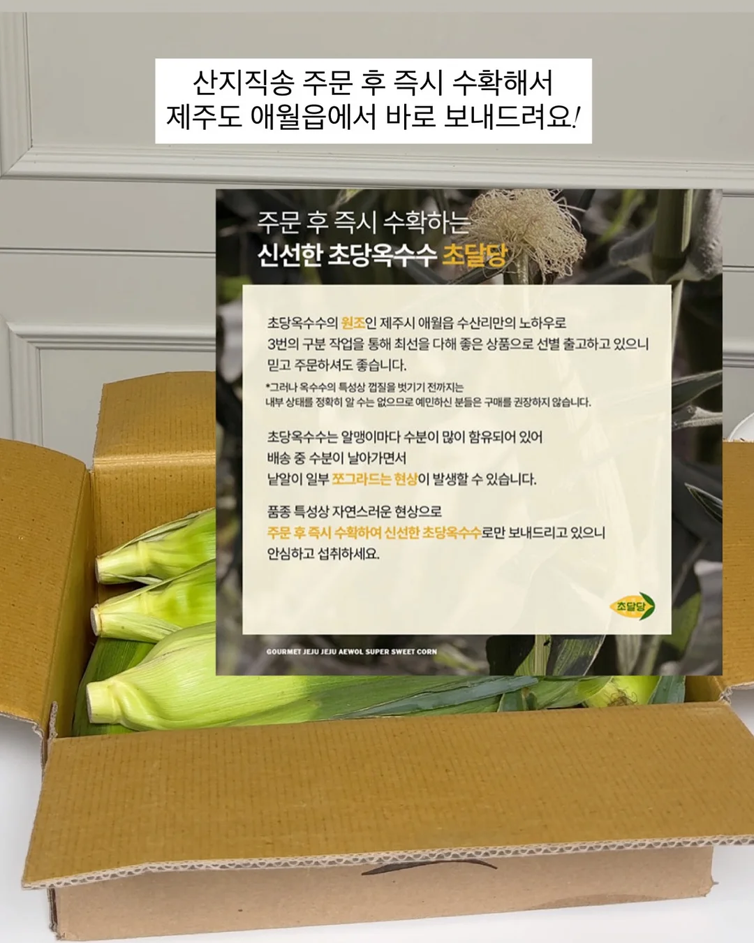 재생 3종 세트 5