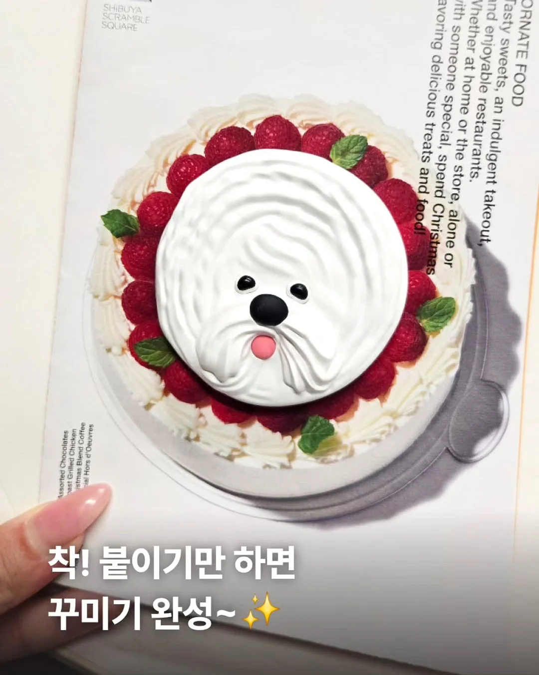 스팅반팔 6