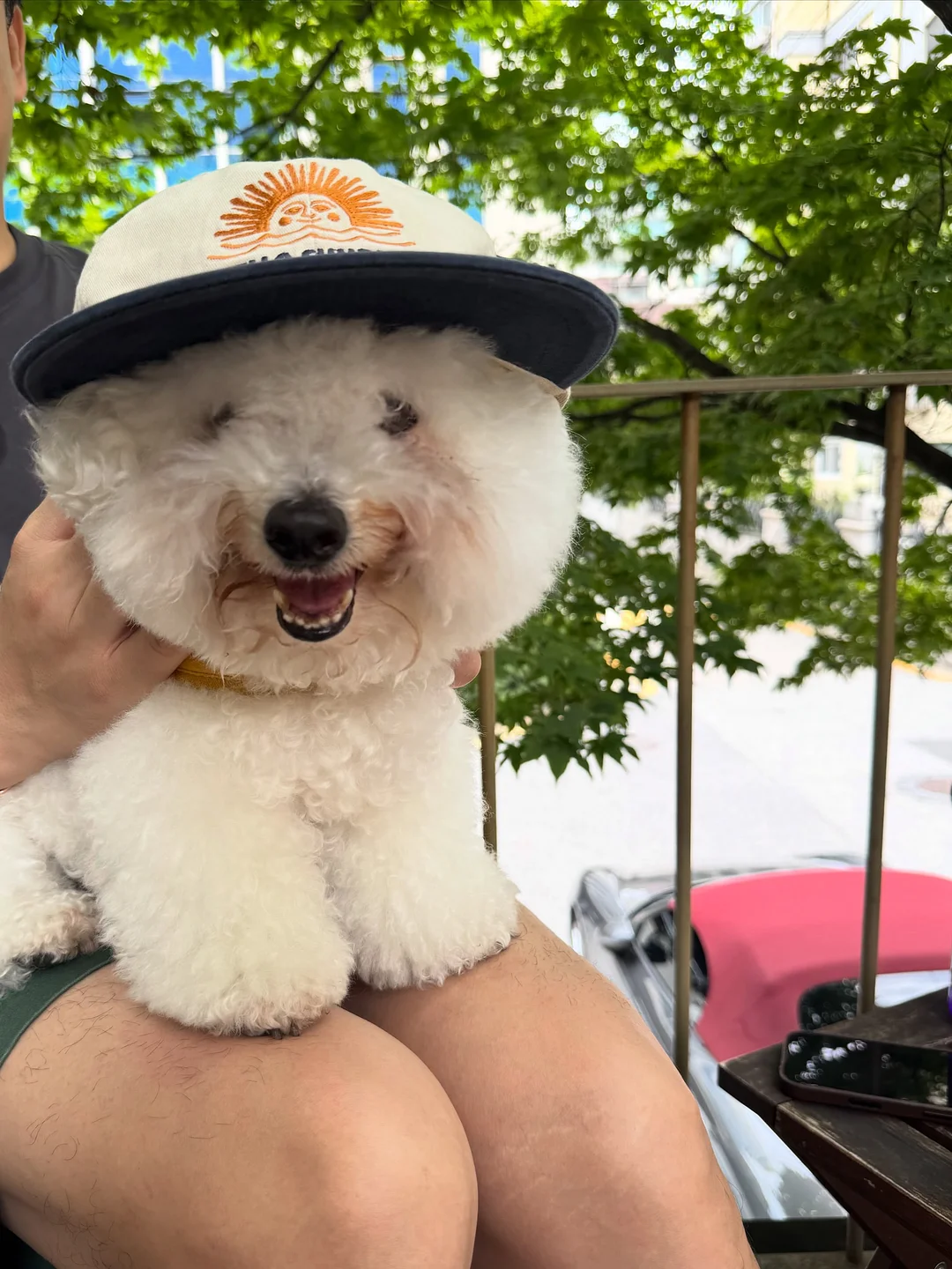 꿈돌이 힐링캠프 19