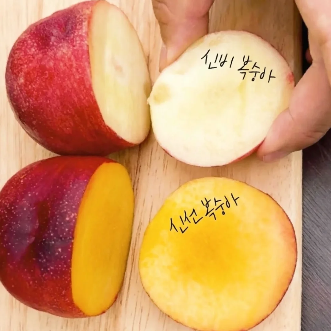 그래놀라 2