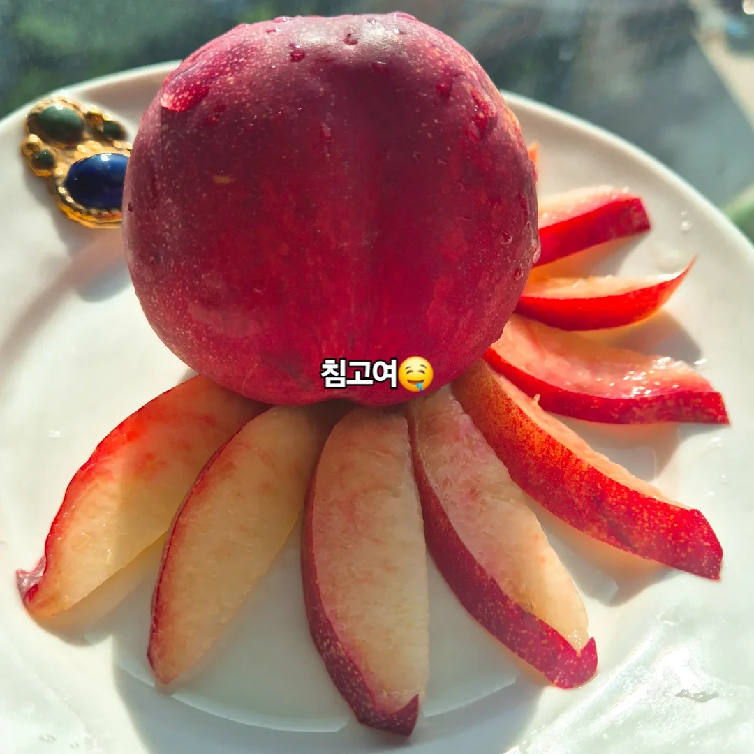 그래놀라 6
