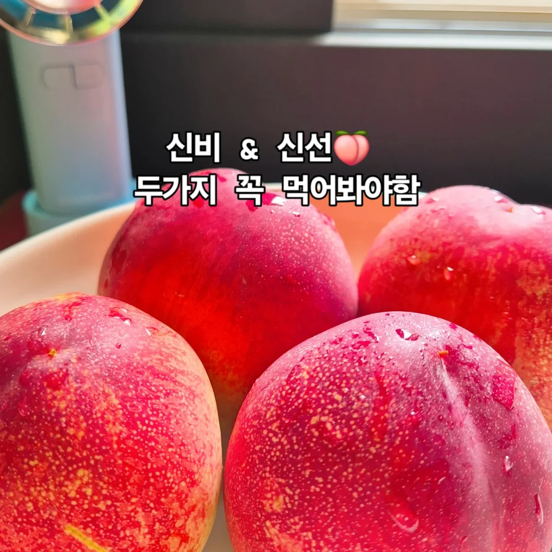 그래놀라 7