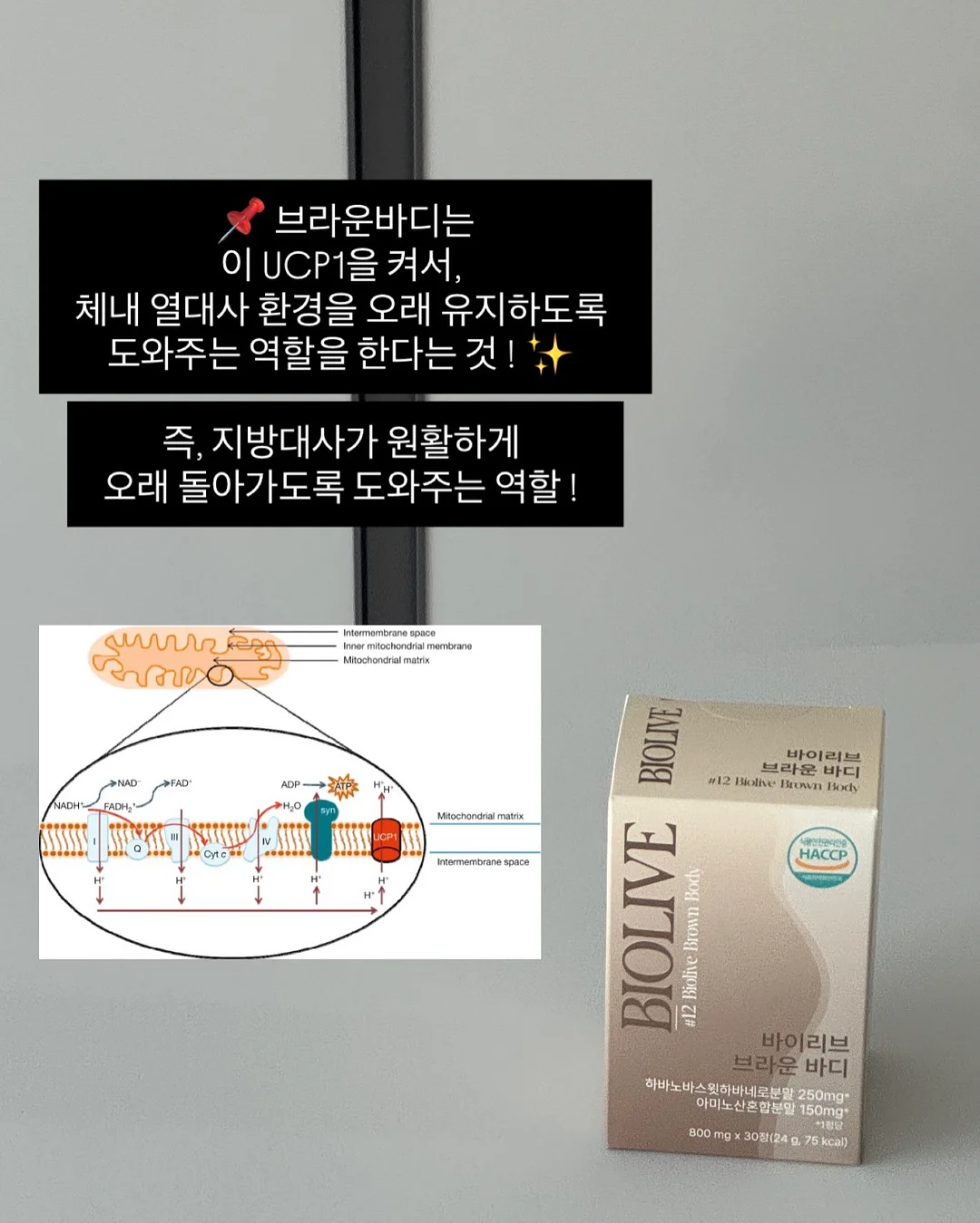 실키 스판 긴팔티 13