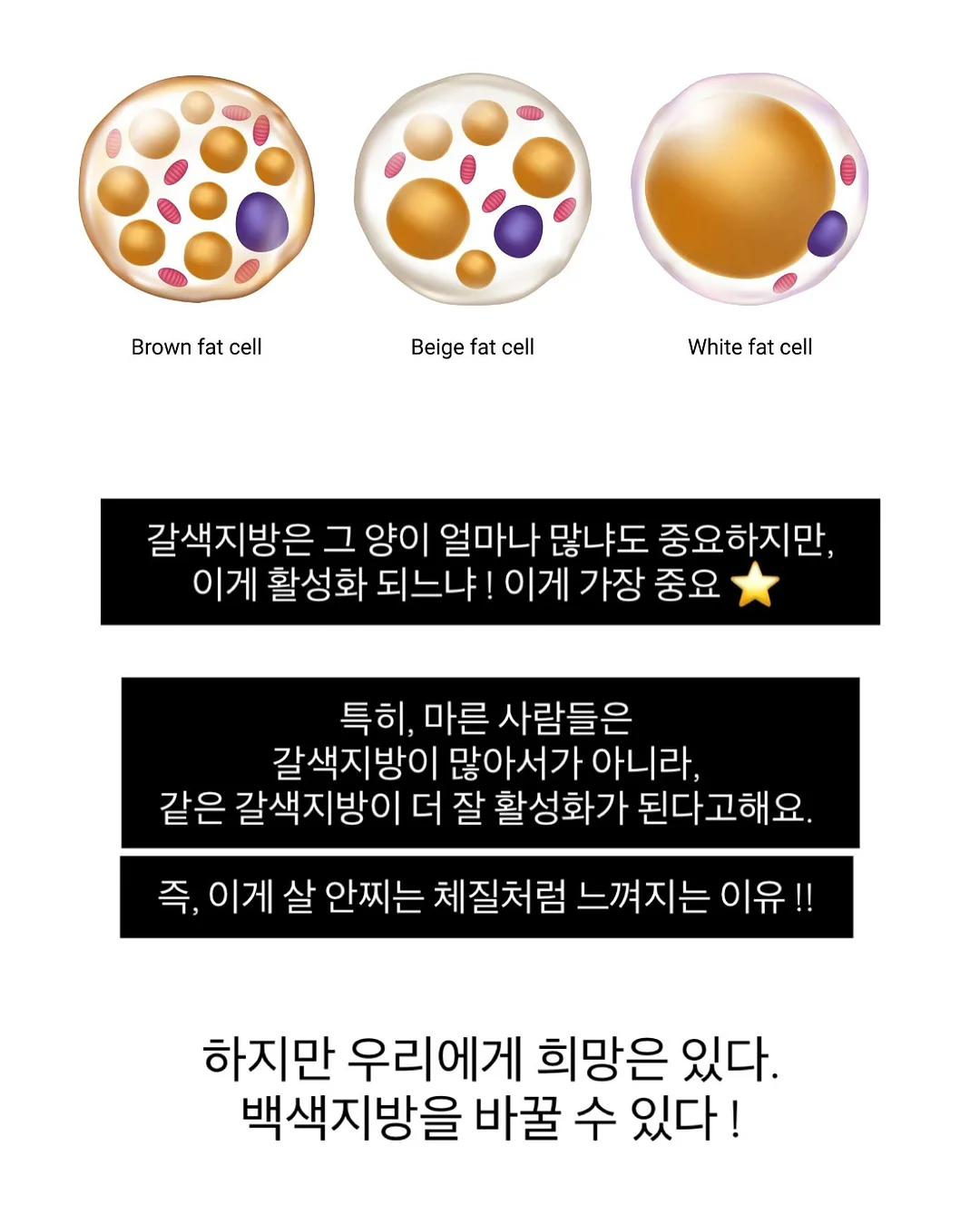 실키 스판 긴팔티 15