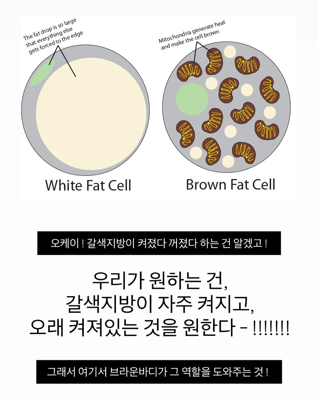 실키 스판 긴팔티 17