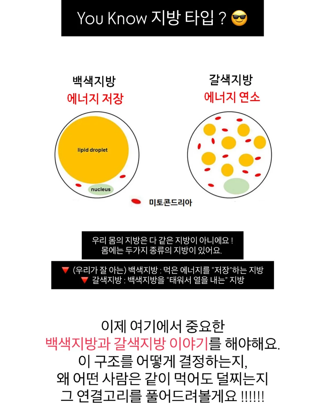실키 스판 긴팔티 3