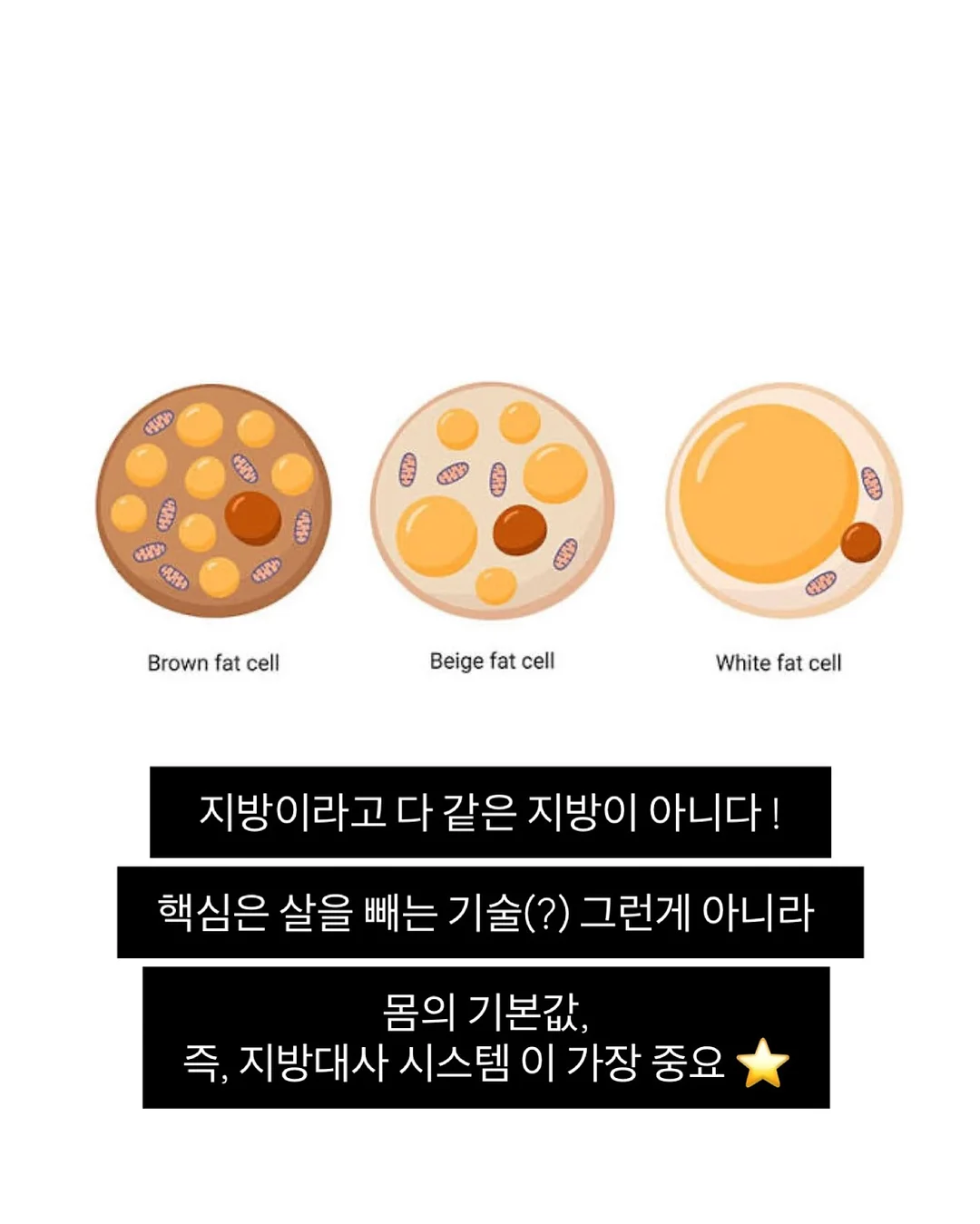실키 스판 긴팔티 4