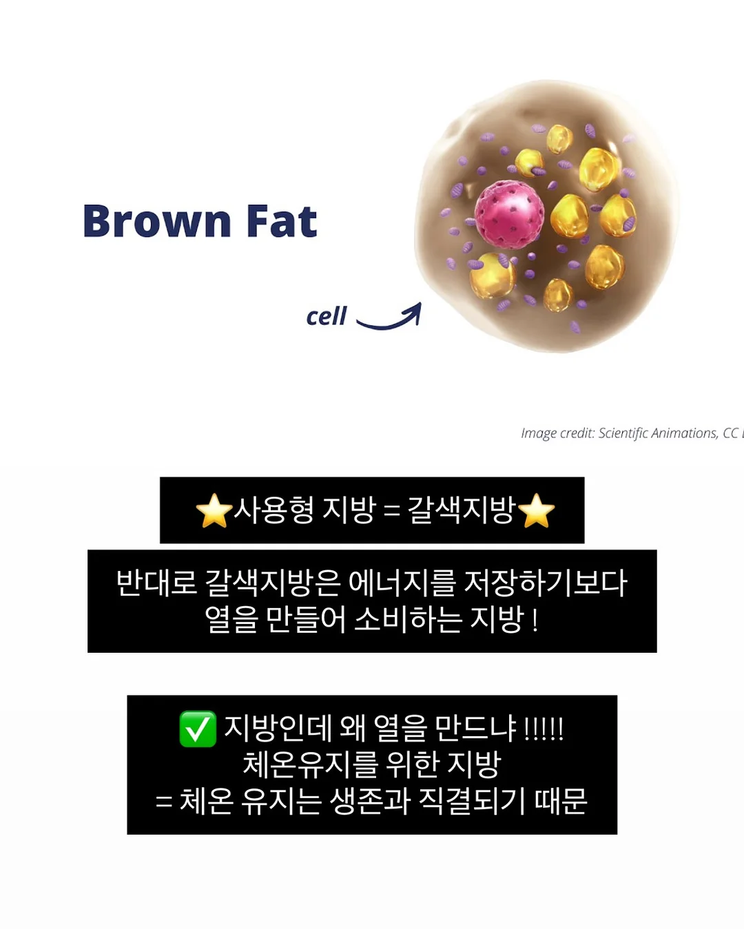 실키 스판 긴팔티 6