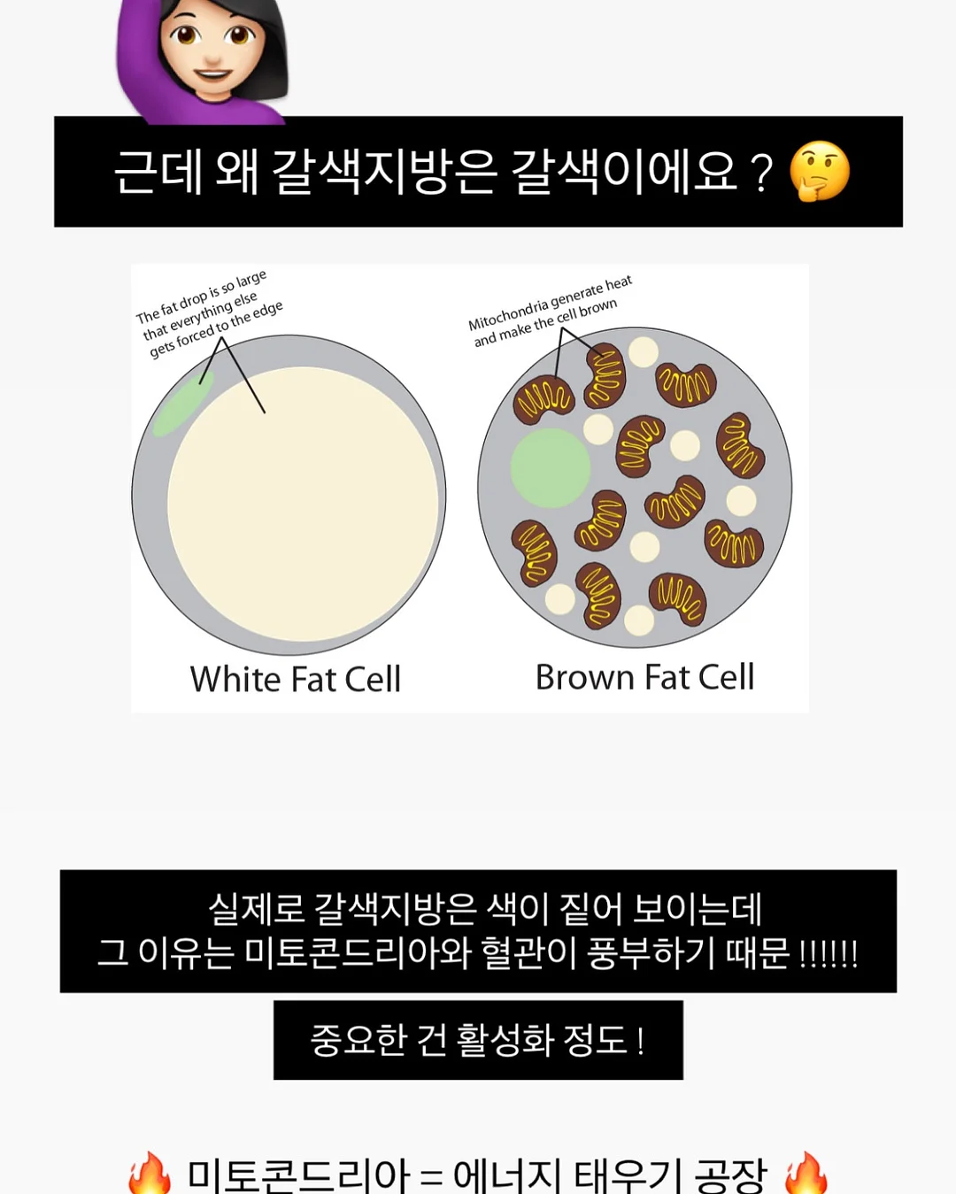 실키 스판 긴팔티 7