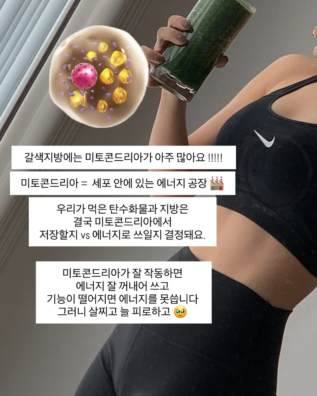 실키 스판 긴팔티 8