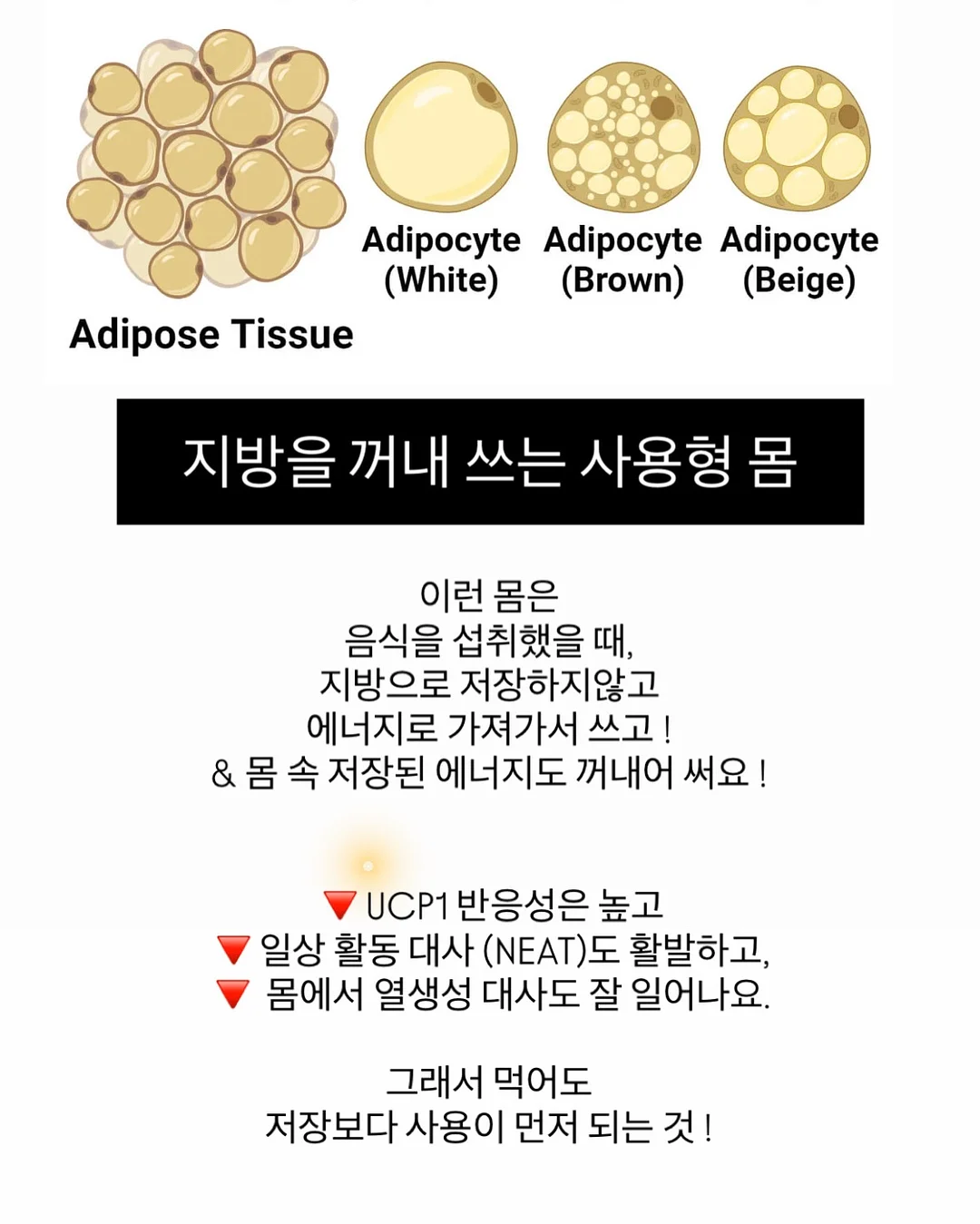 실키 스판 긴팔티 10