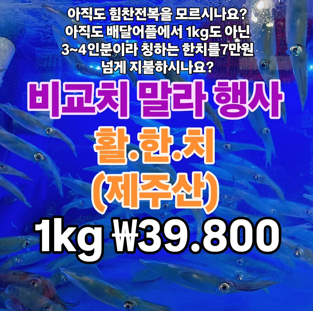 필립스 토스트기