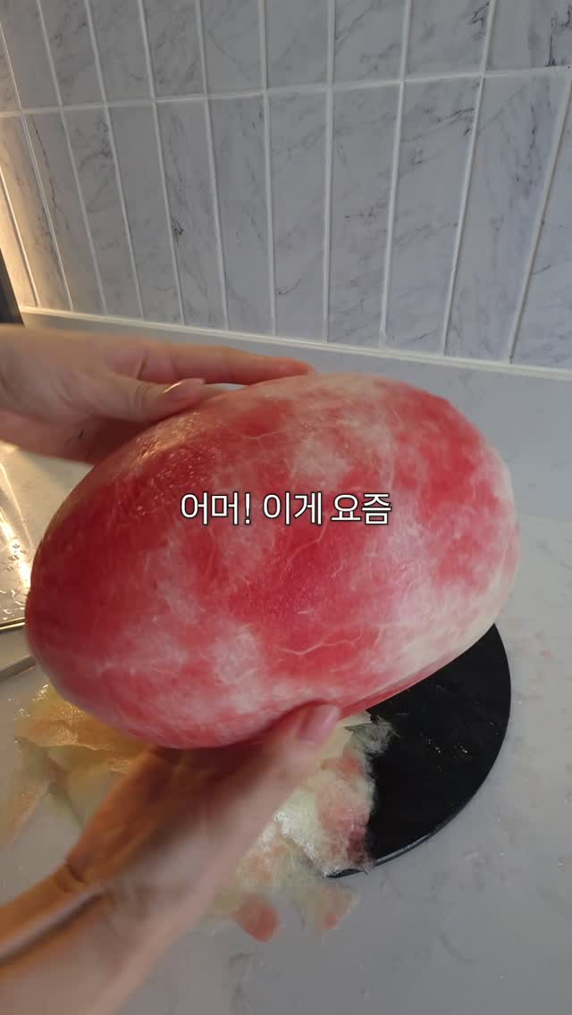 닥스훈트풍선
