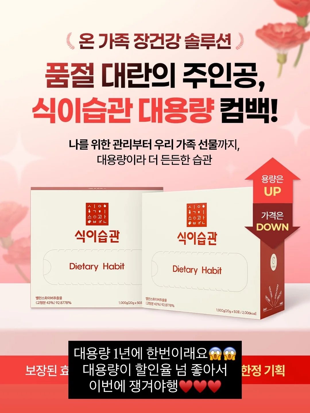 휴가 코디 12