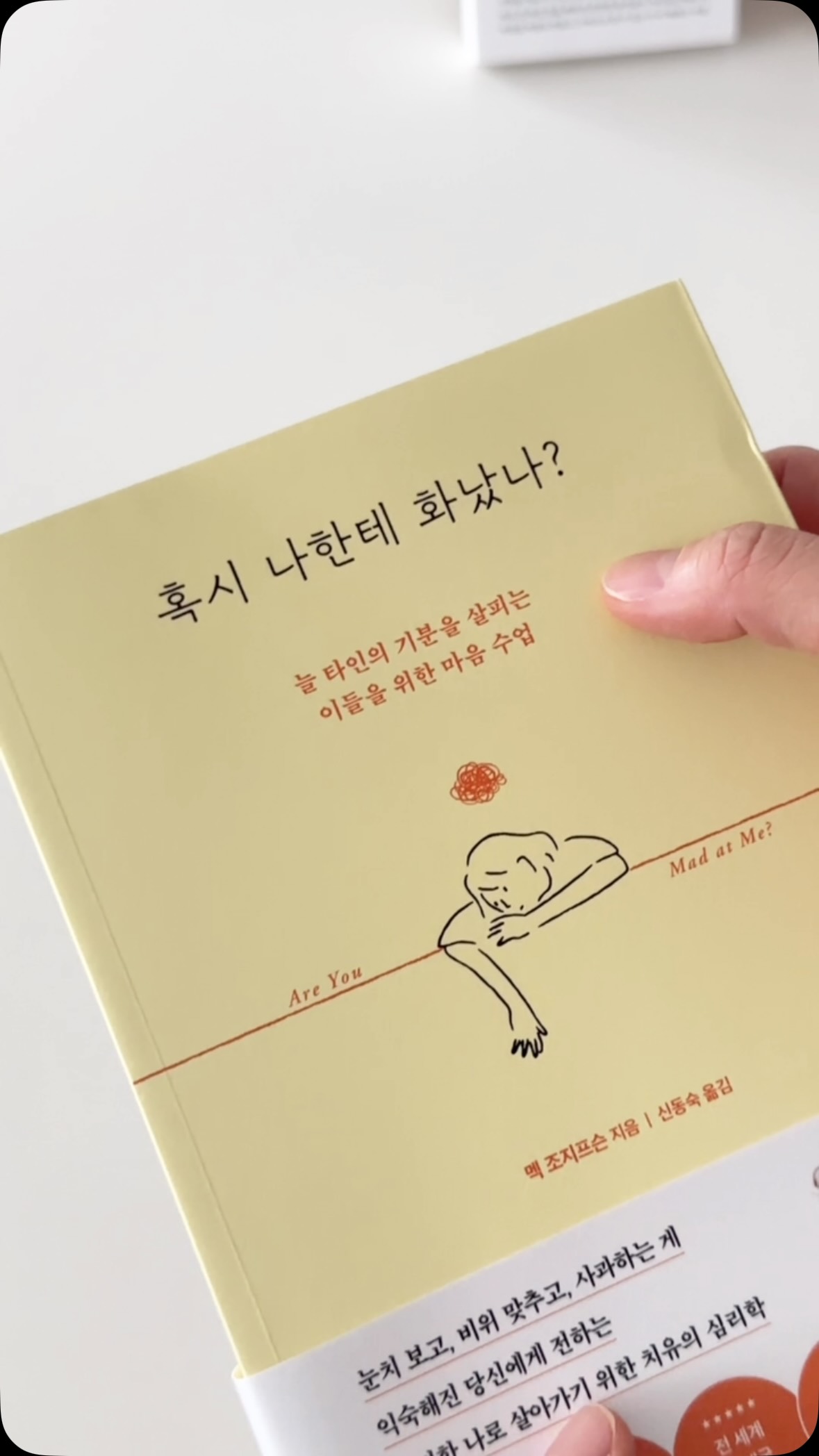 무선 파리 포획기