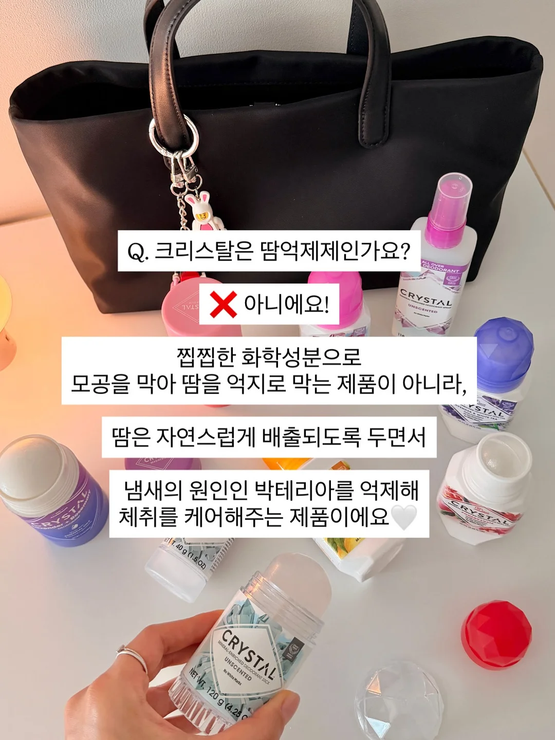 닷닷닷 B17 12
