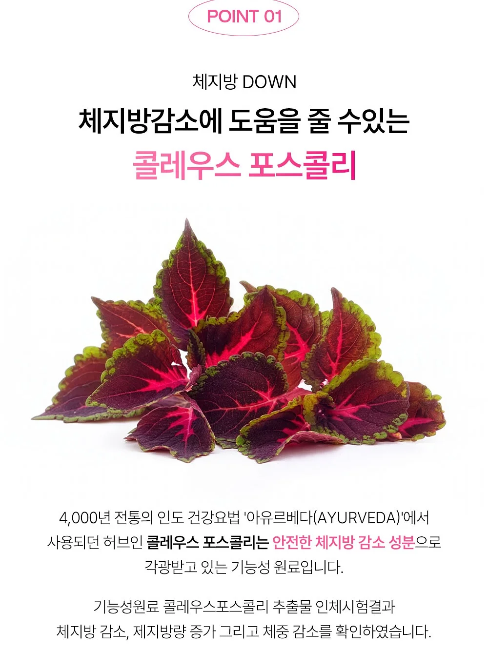 달리프 글램 듀얼 픽스 헤어 마스카라 2