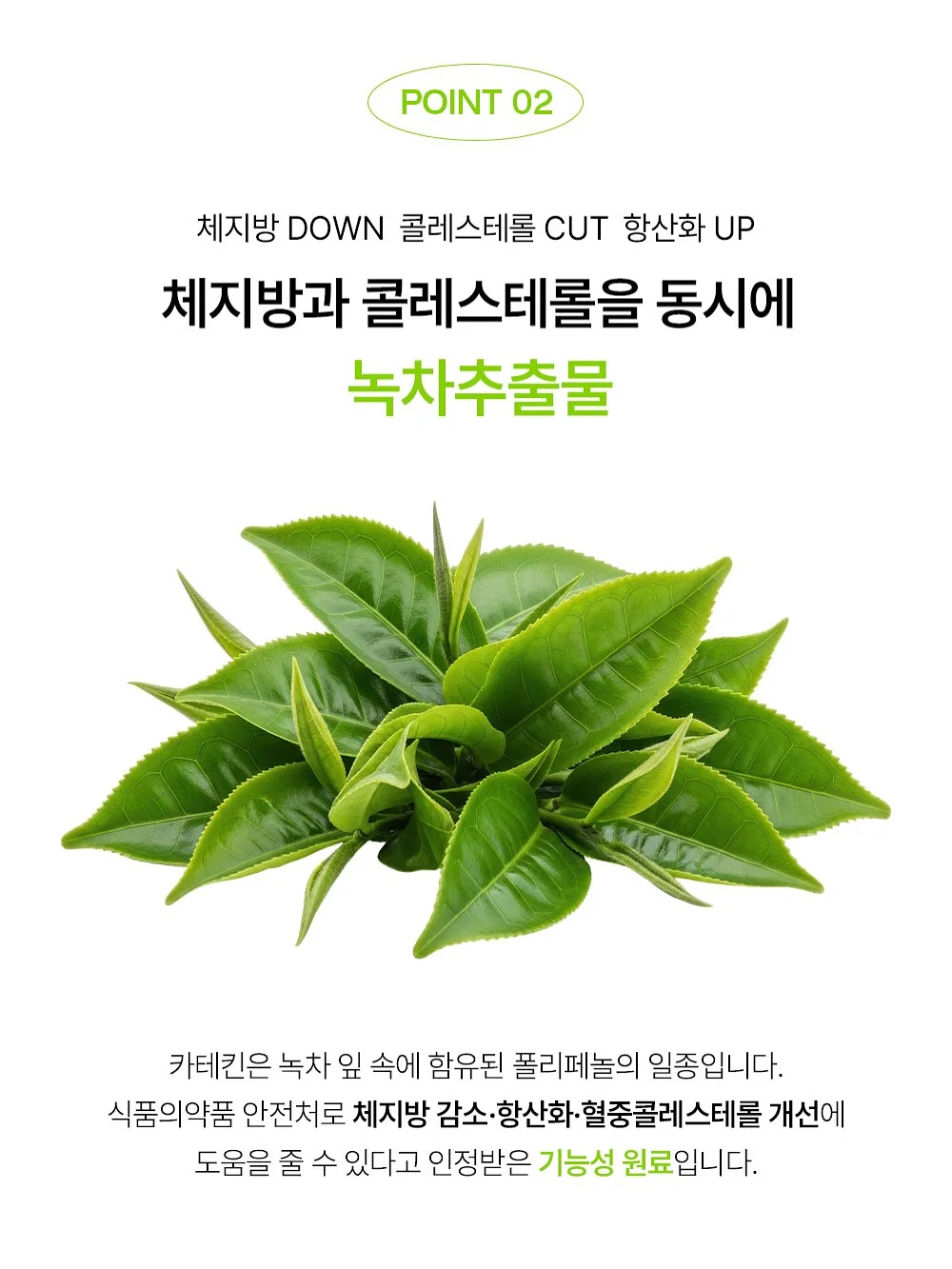 달리프 글램 듀얼 픽스 헤어 마스카라 4