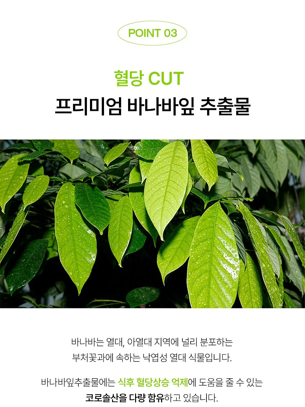 달리프 글램 듀얼 픽스 헤어 마스카라 6