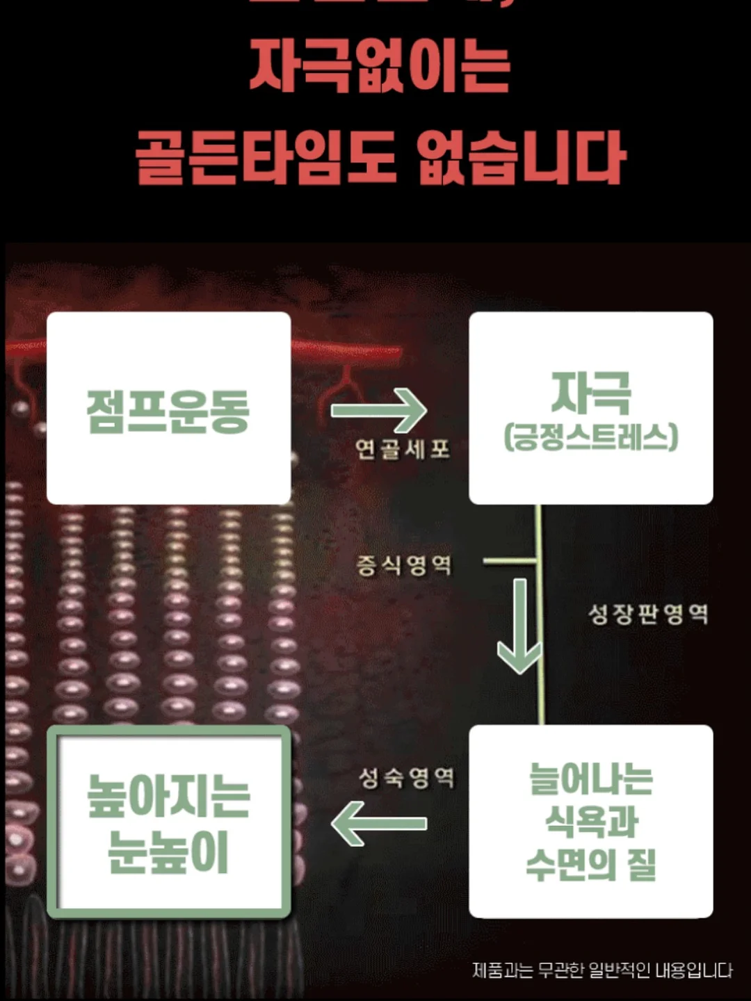 레드 체인 브레이슬릿 9