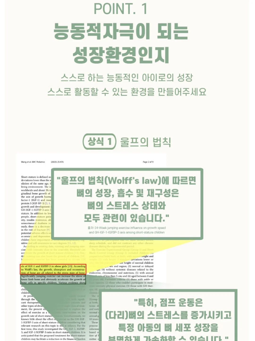 레드 체인 브레이슬릿 10