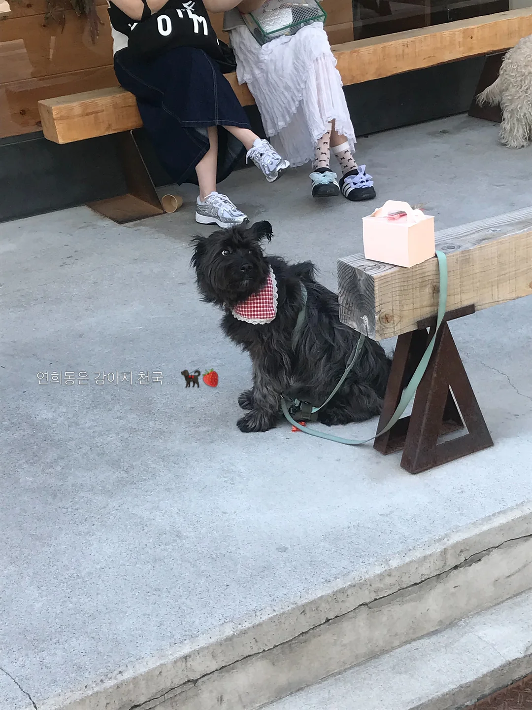 재생 선크림+재생 비비 19