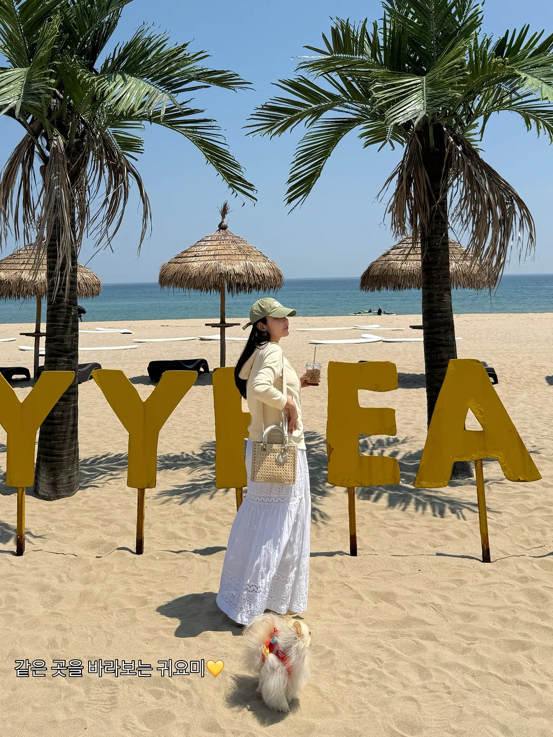 플레지르 빵 20