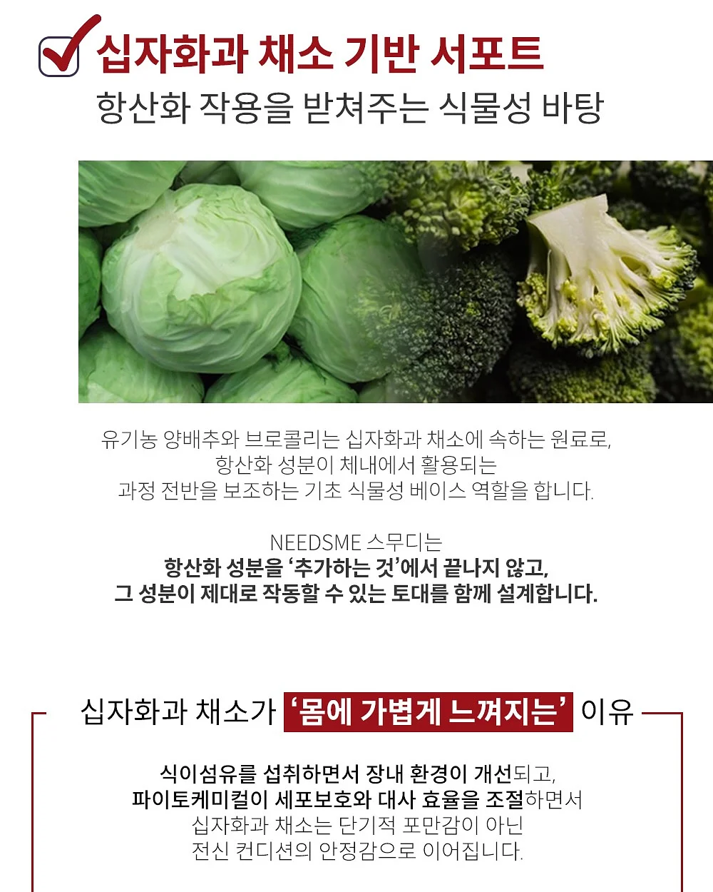 토퍼 12