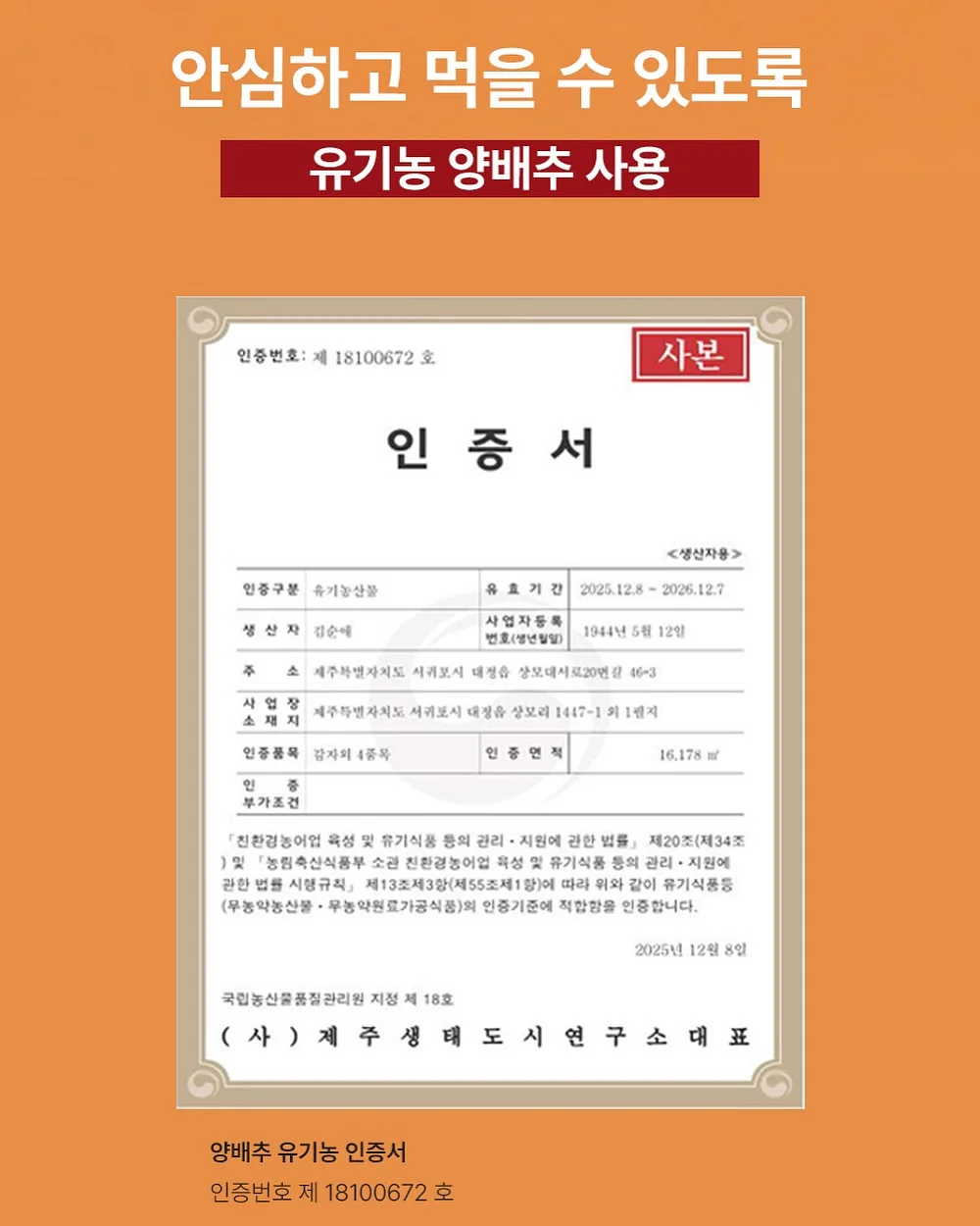 토퍼 17